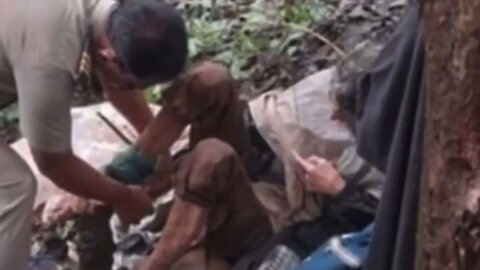 Woman Is Chained To A Tree By Her Husband In The Woods And Left For Dead, Found Alive And Emaciated