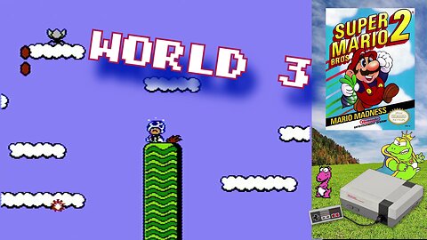 Super Mario Bros. 2 (Nintendo Entertainment System) World 3