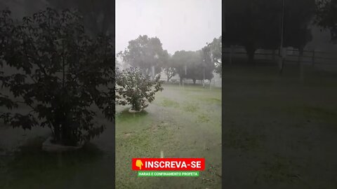 eita chuvinha boa na fazenda #shorts #roça #sitio #fazenda #rancho #agro #agropecuaria #chuva #agua