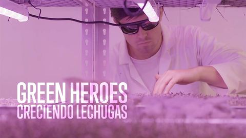 Green Heroes: cultivando lechugas