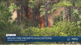 Brush fire causes 40 homes to be evacuated