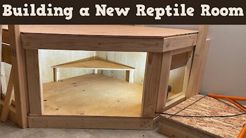 Reptile Room Build Part 1