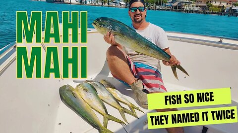 We snuck out before the wedding and caught some Mahi Mahi!!