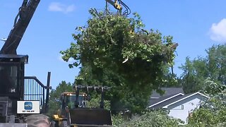 Wrightstown cleans up after storm