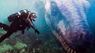 Unbelievable Underwater Discoveries in Antarctica That Left Scientists Speechless