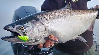 Tributary Salmon Fishing Tactics, Tips, & Tricks!