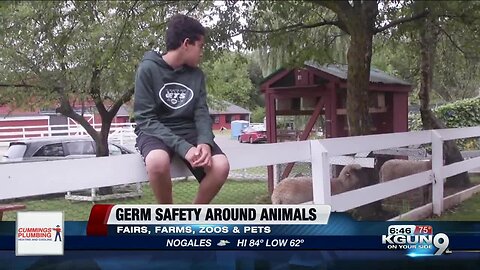 Consumer Reports: Germ safety at fairs, farms and petting zoos