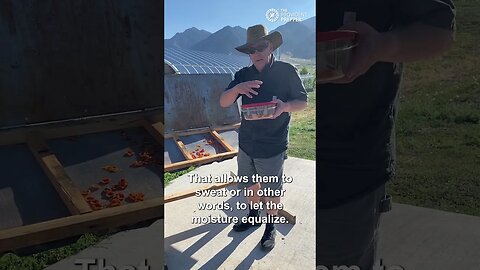 No Power Dehydrator! Check Out How We Dehydrate Apricots With the Sun