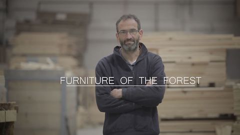 Furniture of the Forest