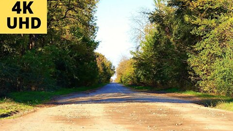 RELAX, FOREST, ROAD, SOUNDS OF NATURE Nature of Russia 4k video