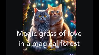Love or not? Magic grass of love in magic forest.