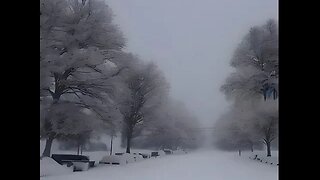 Albert van Niasky - Neve bianca che scende lenta