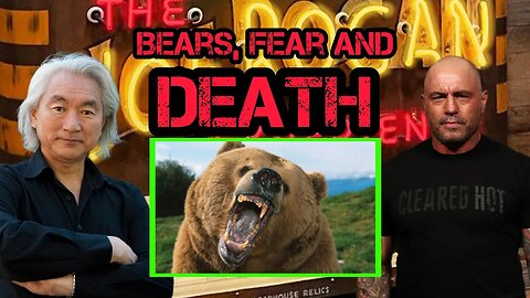 Joe Rogan Teaches Michio Kaku About BEARS, FEAR, And DEATH