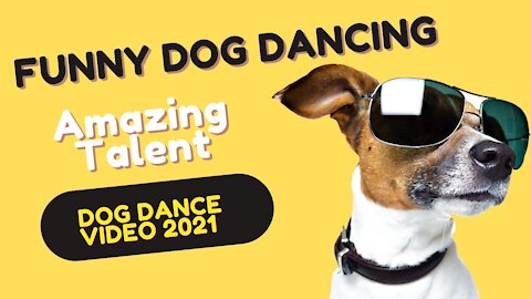 FUNNY DOG DANCING Amazing TALENT DOG Dance VIDEO 2021