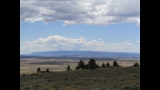 Wyoming Vistas: Glimpses of Summer