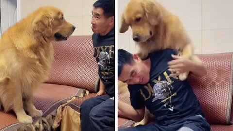 This dog is very angry when his owner makes fun of his cute face