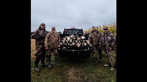 We put the smack down on a 4 man limit of Canada's today for lake eries marsh zone opener!
