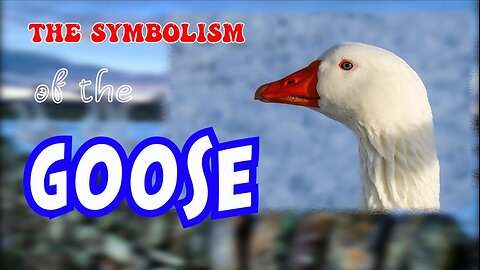 The Symbolism of the Goose