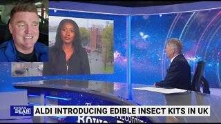 ALDI introducing edible bug kits.