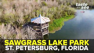 Sawgrass Lake Park in St. Pete | Taste and See Tampa Bay
