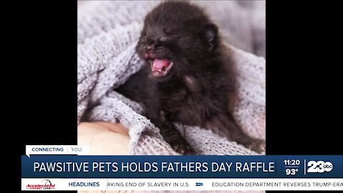 Bakersfield Pawsitive Connections hosts Fathers Day Raffle