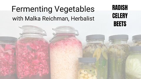 Fermenting Vegetables with Malka Reichman, Herbalist