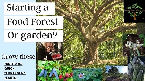 My top 8 plants for your new food forest garden