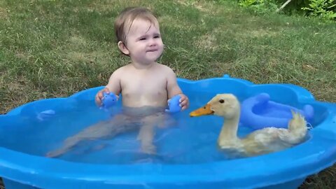 Funny Baby Reaction to Duckling in the Pool || cute baby reacts to a duckling that swims in the pool