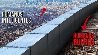 Em 2050, Muros Separam Humanos Inteligentes dos Burros, Deixando os Burros Sofrerem...