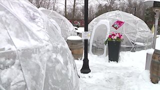 Crimestoppers search for Strongsville igloo thief