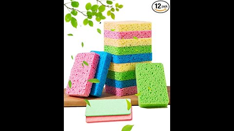 12 Count Kitchen Sponges