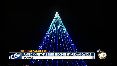 Famed Christmas tree honors Chabad of Poway