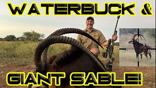 Waterbuck and Sable Hunting in South Africa