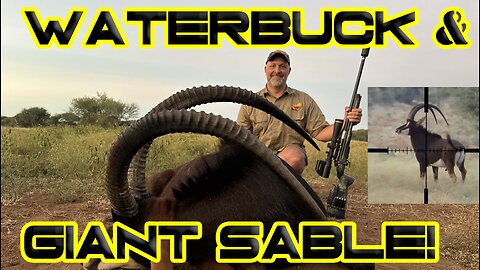 Waterbuck and Sable Hunting in South Africa