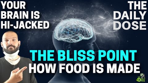 Interview Clip Dr. Michael Fenster: The Bliss Point How Processed Food Is Made