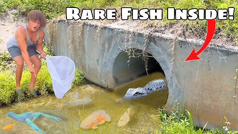 I Found A HIDDEN TUNNEL Filled With RARE FISH!