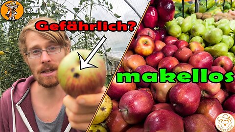 Verdrehte Welt! - "Biologisches Obst ist gefährlich" - Bitte was?