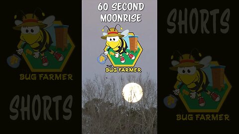 #shorts 60 Second Moon-rise Time-lapse