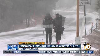 Snowfall picking up amid winter blast