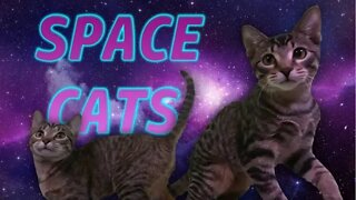 Space Cats 1: Cosmic Kitties