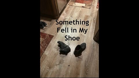 Something Fell in my Shoe