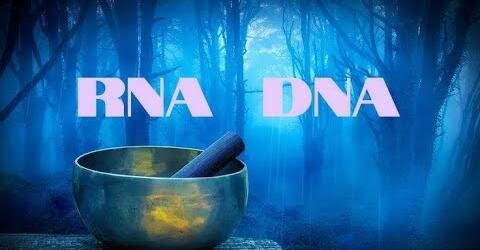RNA DNA Heal & Repair