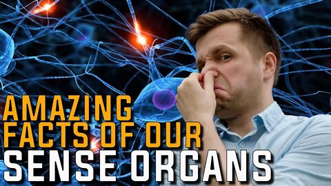 Astonishing Facts of Human Organs