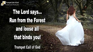 Dec 23, 2004 🎺 Jesus says... Loose all that binds you and run from the Forest