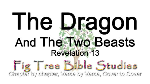 The Dragon & The Two Beasts