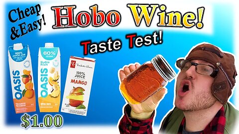Taste Testing Cheap & Easy Hobo Homemade Wine!
