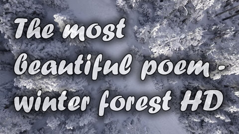The most beautiful poem - winter forest HD