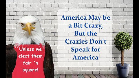 America May be a Bit Crazy, But the Crazies Don't Speak for America