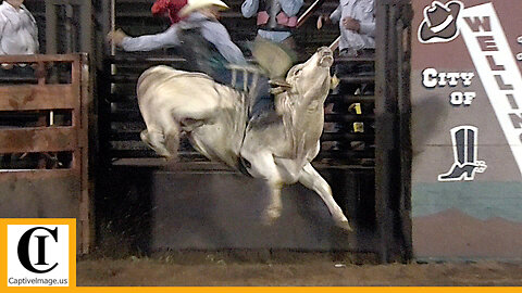 Bull Riding - 2023 Wellington Pro Rodeo | Friday