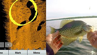 Use Side Imaging to find Crappie in Weeds (Simple Bobber Rig)